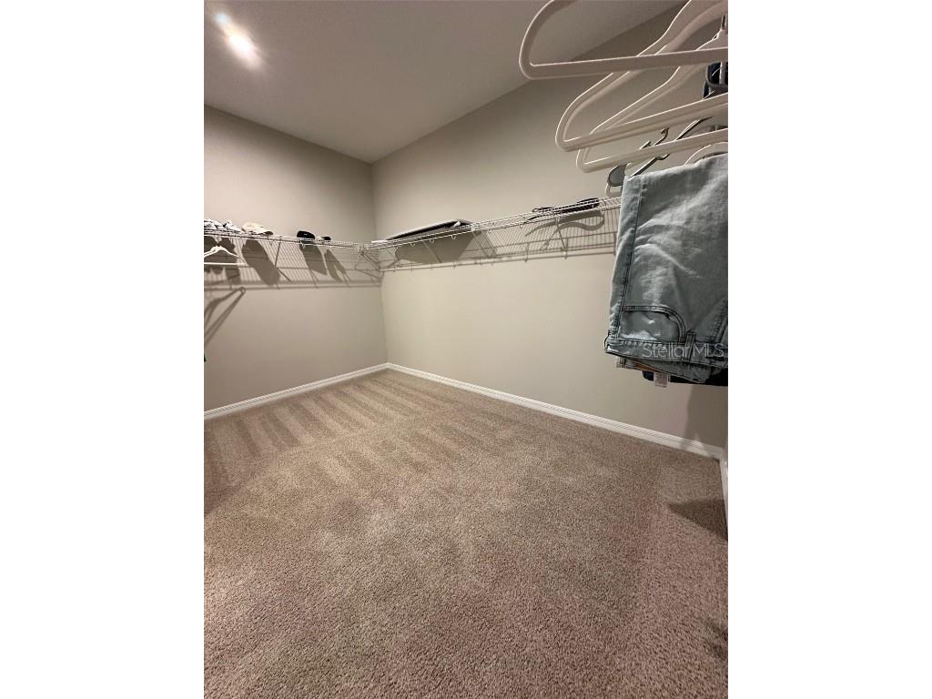 2920 Agostino Terrace Kissimmee FL 34746 S5126243 image52