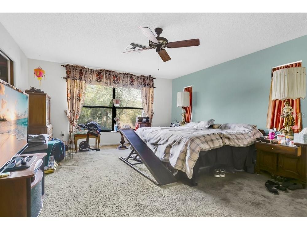 2920 Cocovia Way Leesburg FL 34748 O6386709 image12