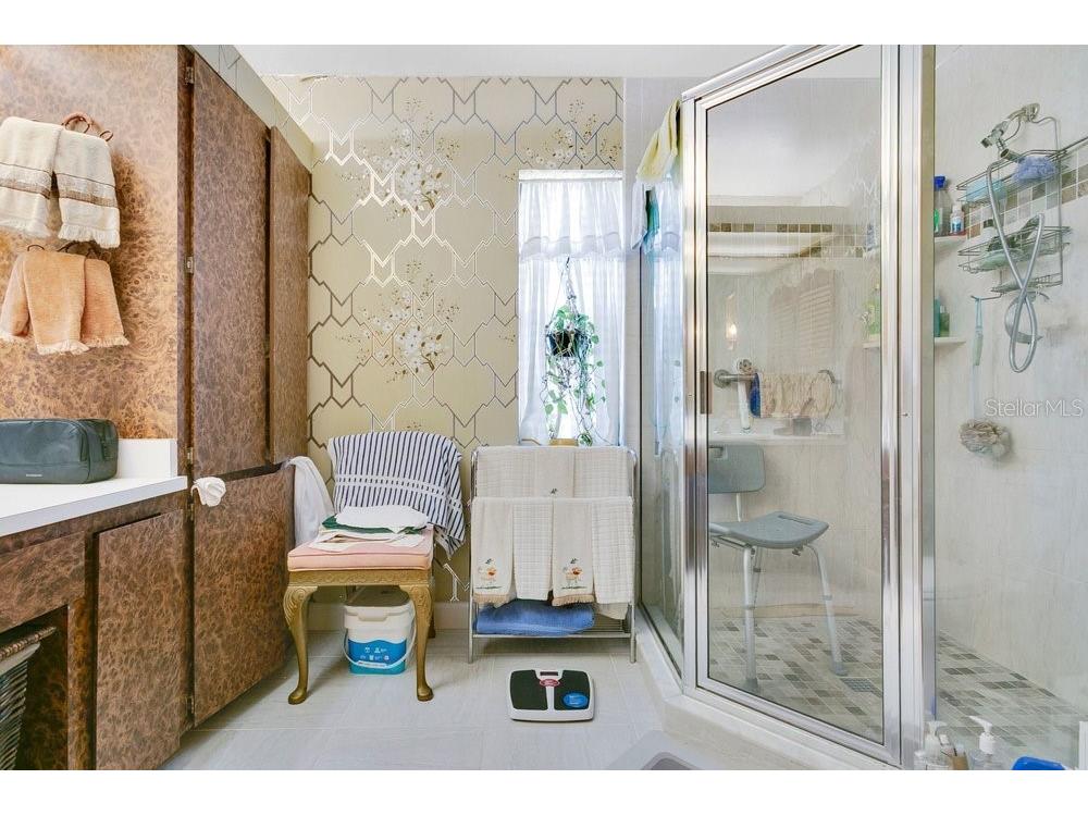 2920 Cocovia Way Leesburg FL 34748 O6386709 image13