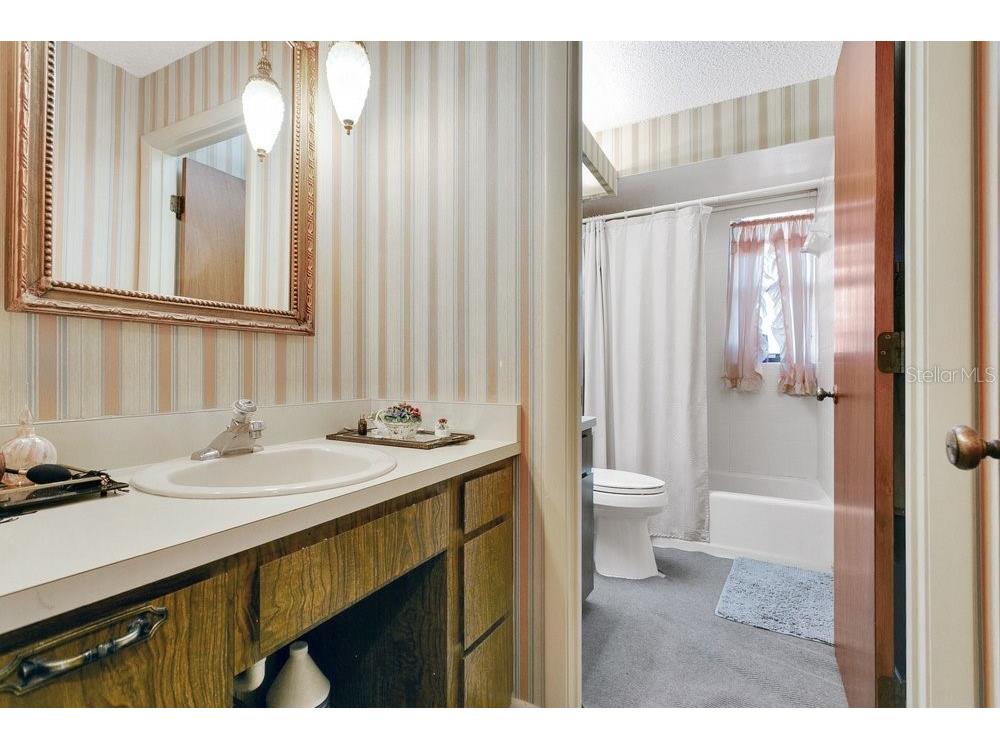 2920 Cocovia Way Leesburg FL 34748 O6386709 image17