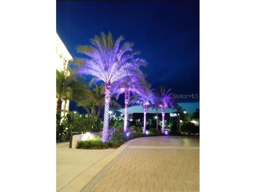 2920 On The Rocks Point Kissimmee FL 34747 O6344726 image34