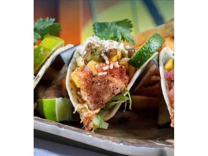 2920 On The Rocks Point Kissimmee FL 34747 O6344726 image41