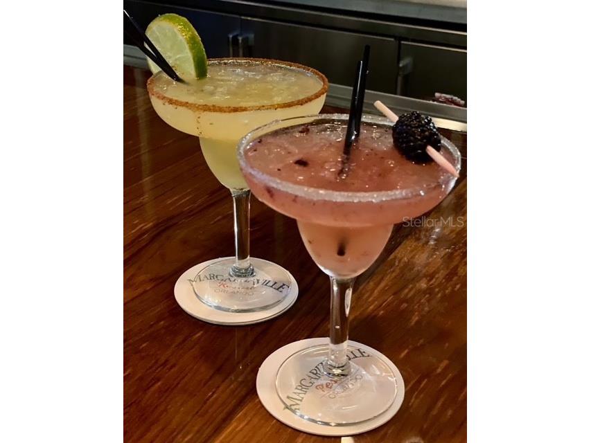 2920 On The Rocks Point Kissimmee FL 34747 O6344726 image45