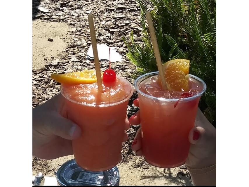 2920 On The Rocks Point Kissimmee FL 34747 O6344726 image46