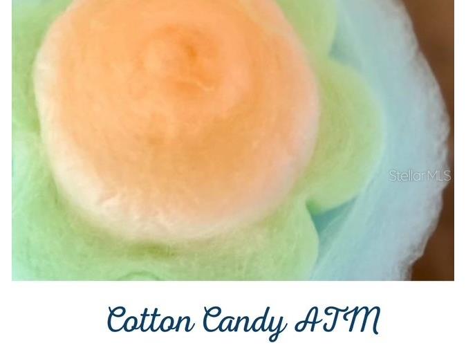 2920 On The Rocks Point Kissimmee FL 34747 O6344726 image47