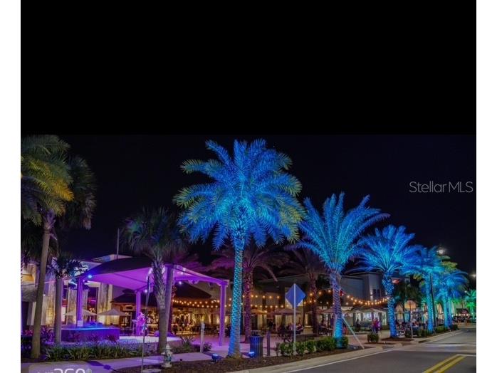 2920 On The Rocks Point Kissimmee FL 34747 O6344726 image59