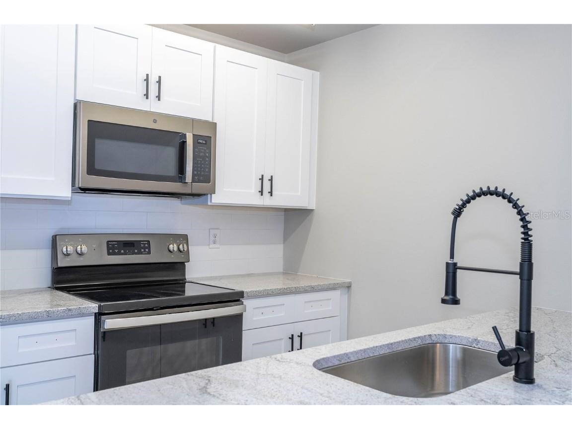 2920 Pecan Avenue Leesburg FL 34748 O6211311 image1