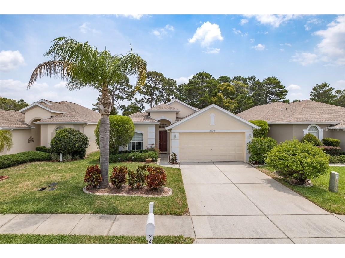 2920 Plantain Drive Holiday FL 34691 U8243019 image1