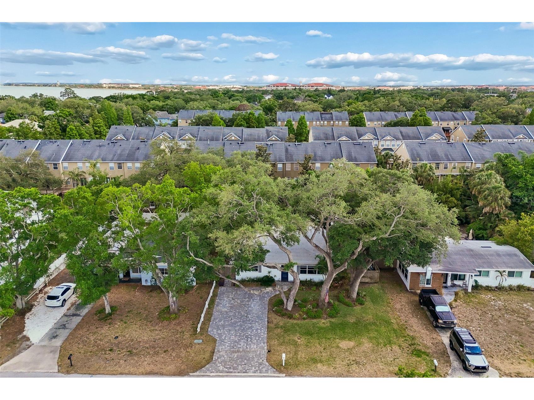 2920 W Ellis Drive Tampa FL 33611 TB8503354 image52