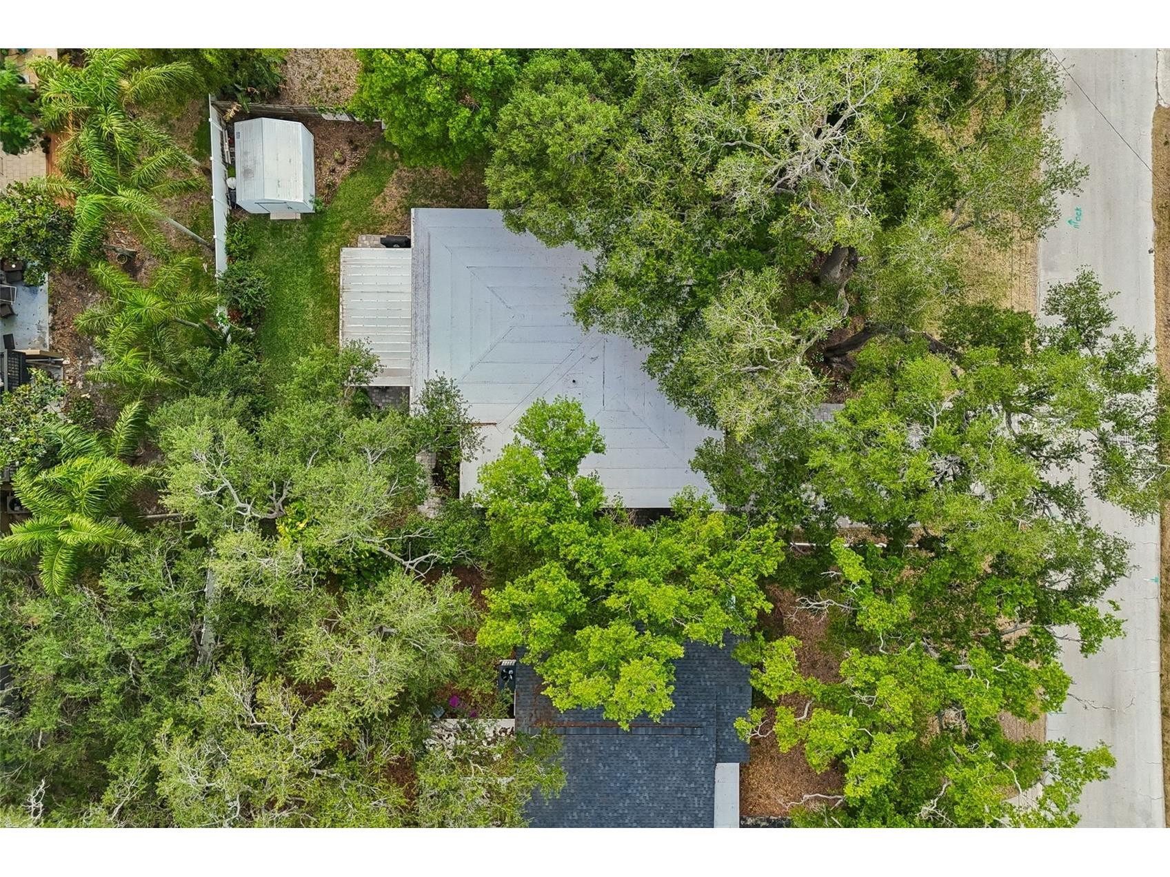2920 W Ellis Drive Tampa FL 33611 TB8503354 image57