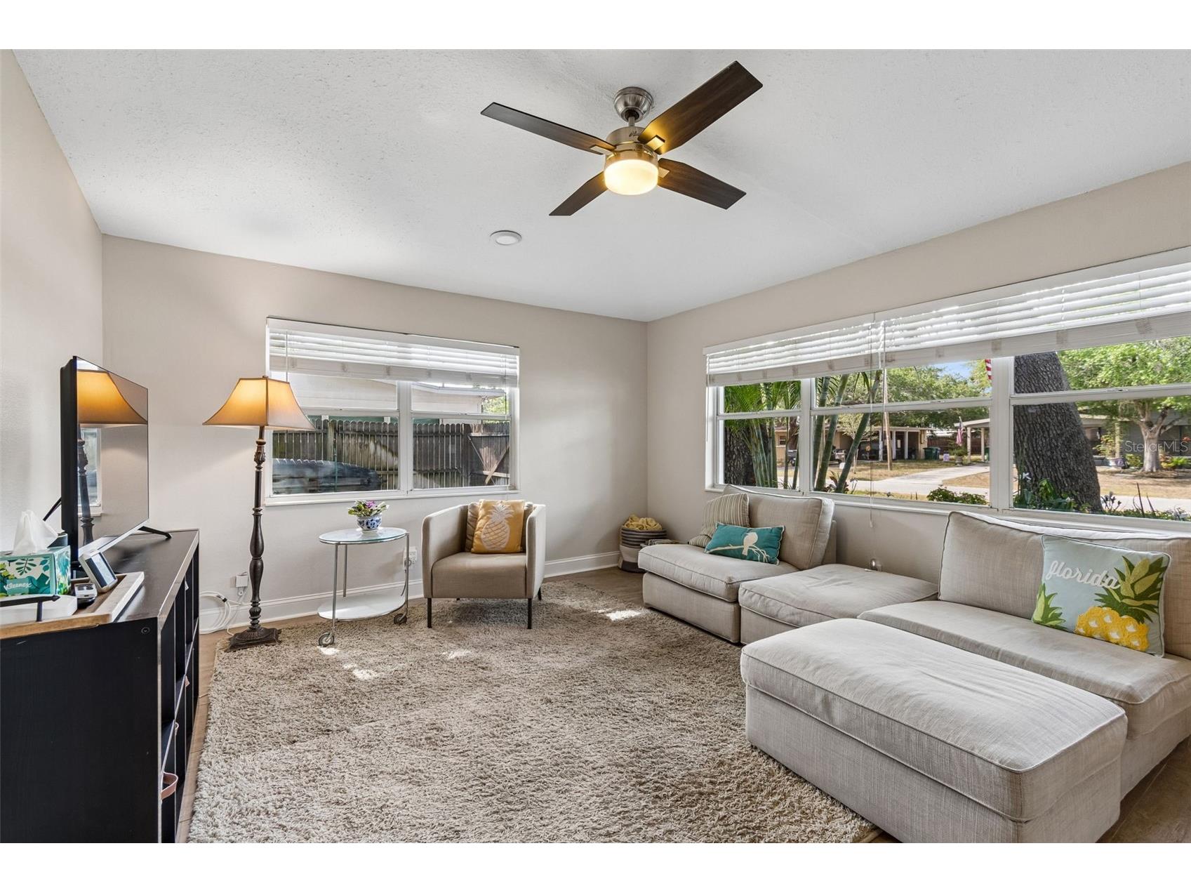 2920 W Ellis Drive Tampa FL 33611 TB8503354 image8