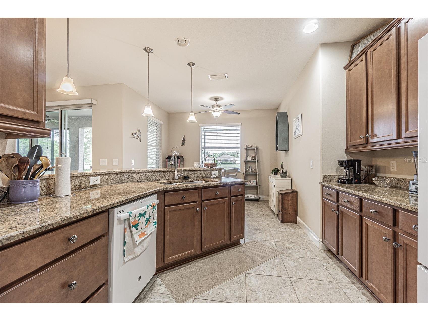 29203 Grass Bunker Drive San Antonio FL 33576 TB8488553 image22