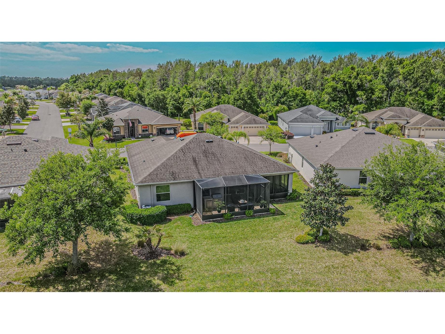 29203 Grass Bunker Drive San Antonio FL 33576 TB8488553 image31