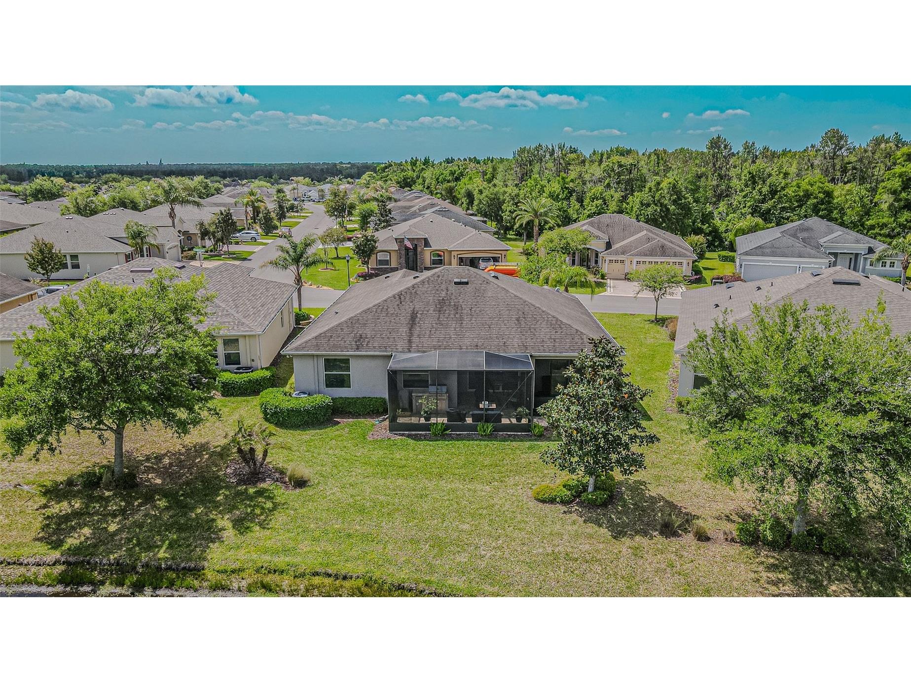 29203 Grass Bunker Drive San Antonio FL 33576 TB8488553 image32