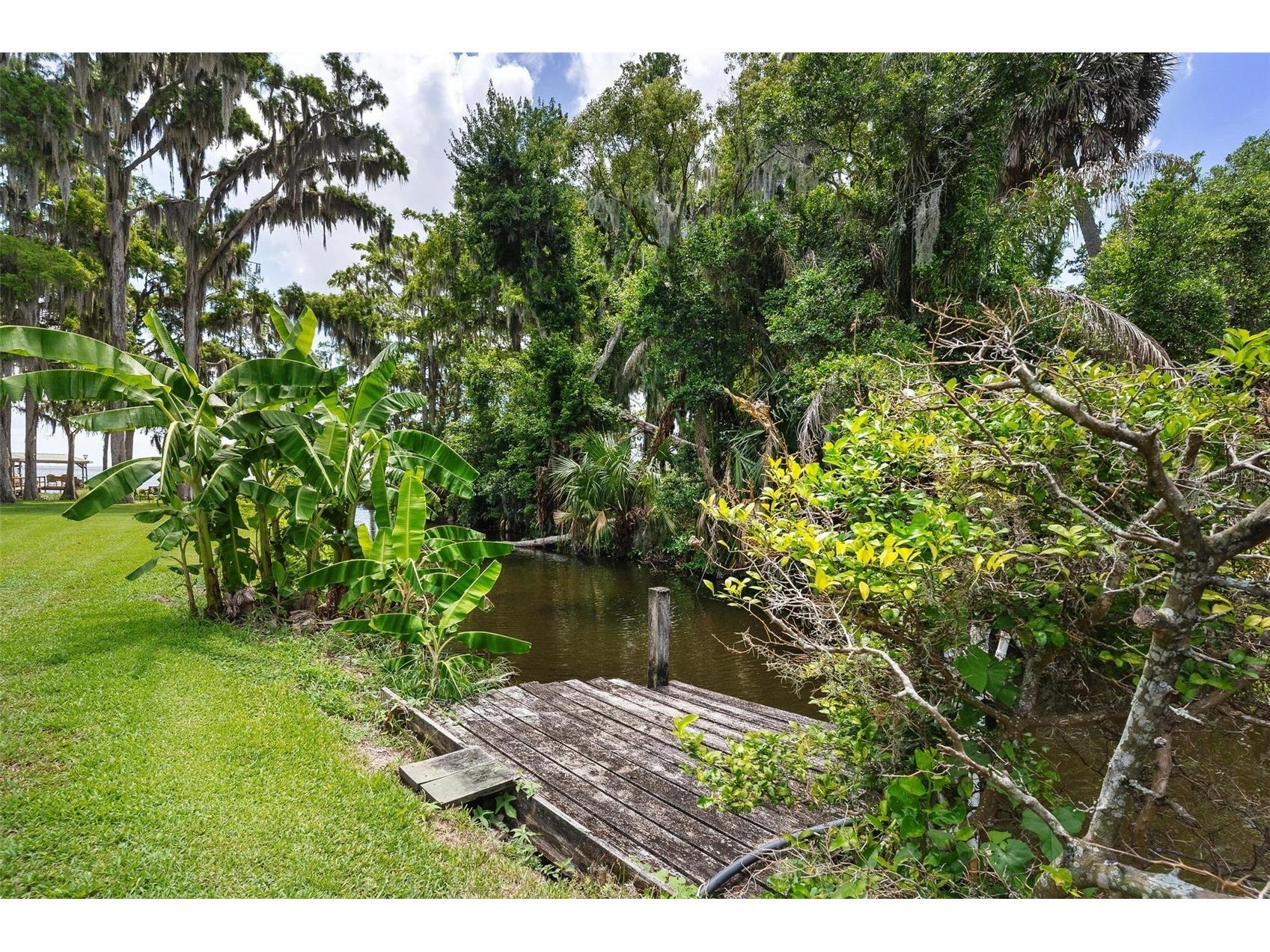 29205 S Corley Island Road Leesburg FL 34748 - LAKE HARRIS G5112978 image47