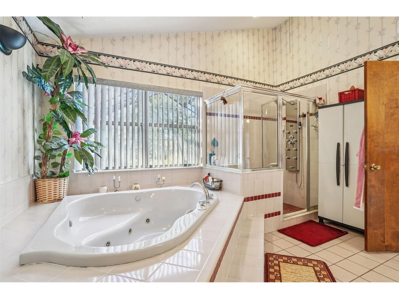 29207 Old Mill W Tavares FL 32778 S5142220 image40