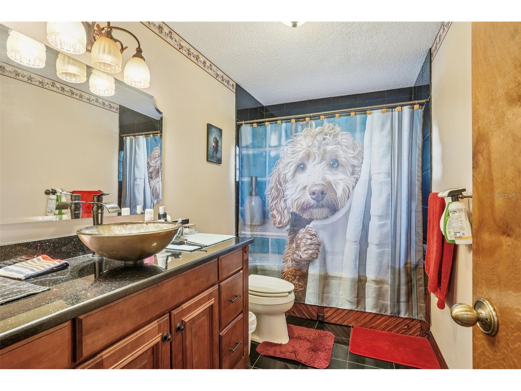 29207 Old Mill W Tavares FL 32778 S5142220 image42