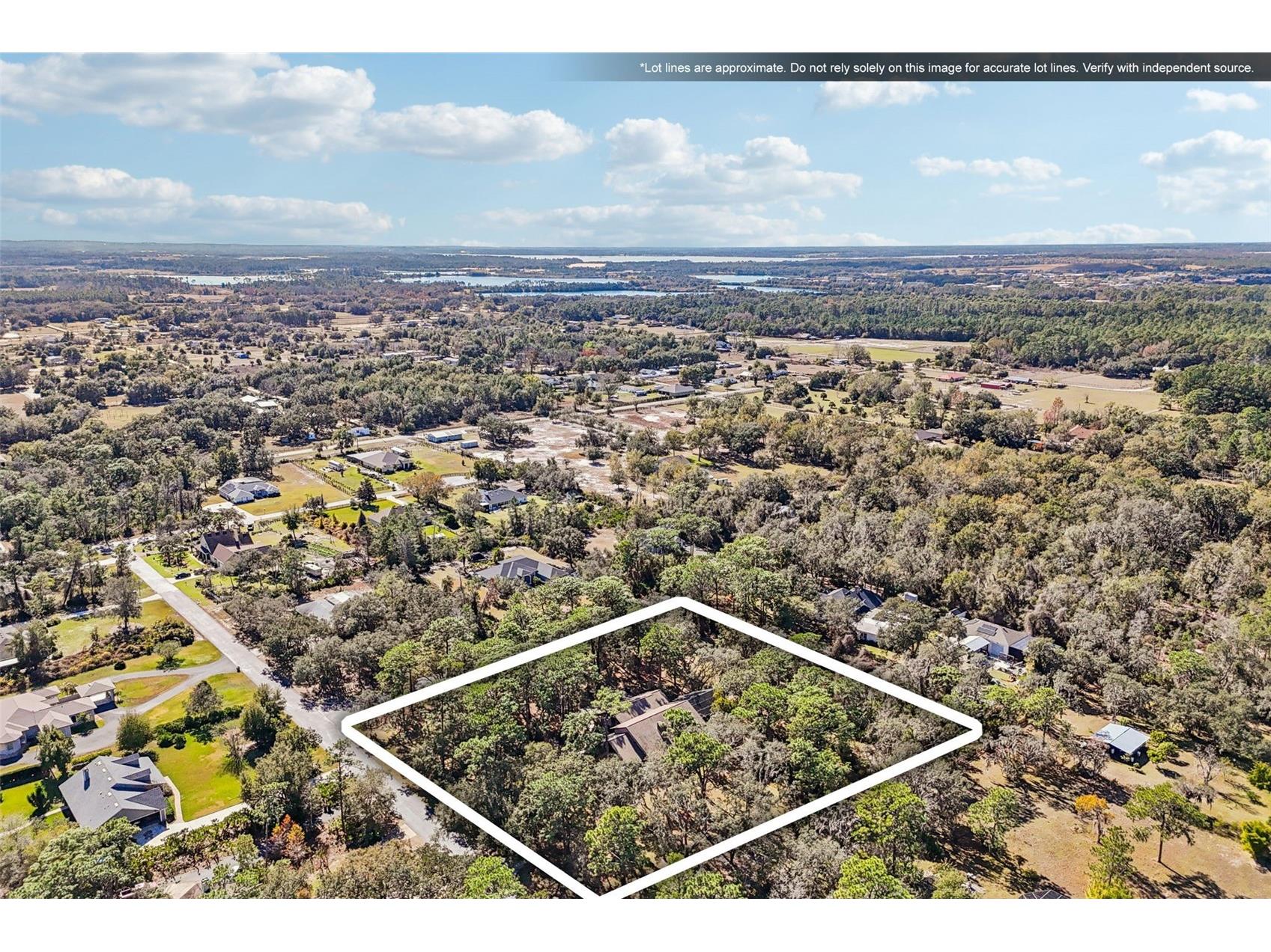29207 Old Mill W Tavares FL 32778 S5142220 image81