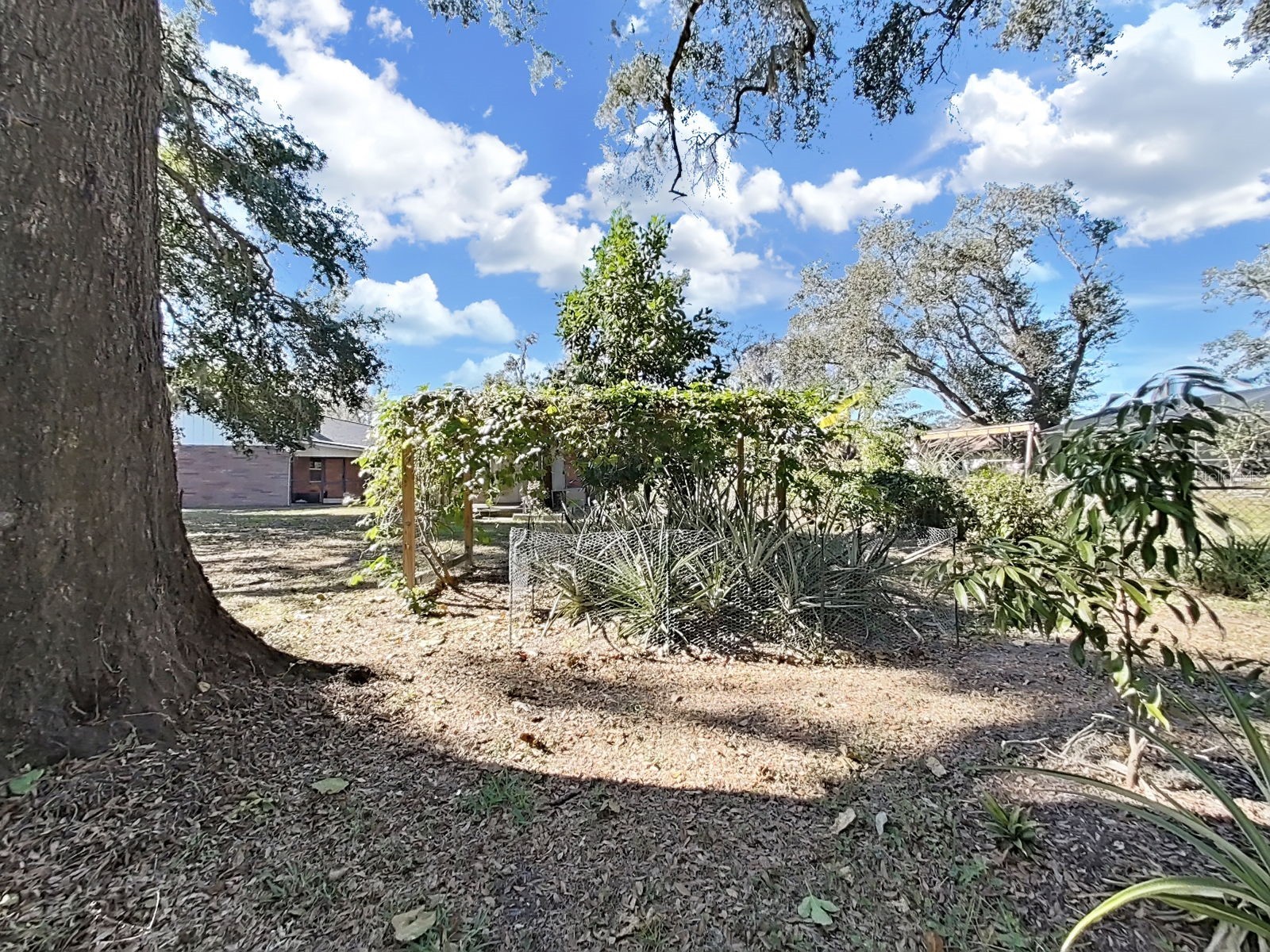 2921 Chelsea Woods Drive Valrico FL 33596 TB8459815 image49