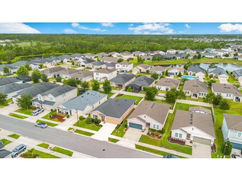 2921 Deerberry Lane Clermont FL 34714 O6414961 image28