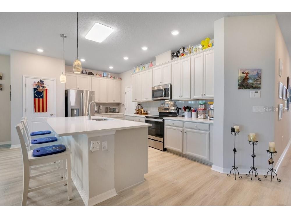2921 Deerberry Lane Clermont FL 34714 O6414961 image9
