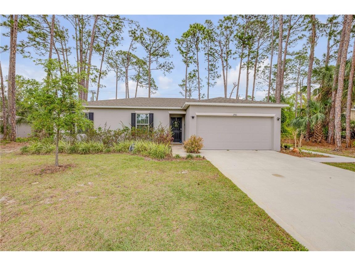2921 India Palm Drive Edgewater FL 32141 NS1084349 image1