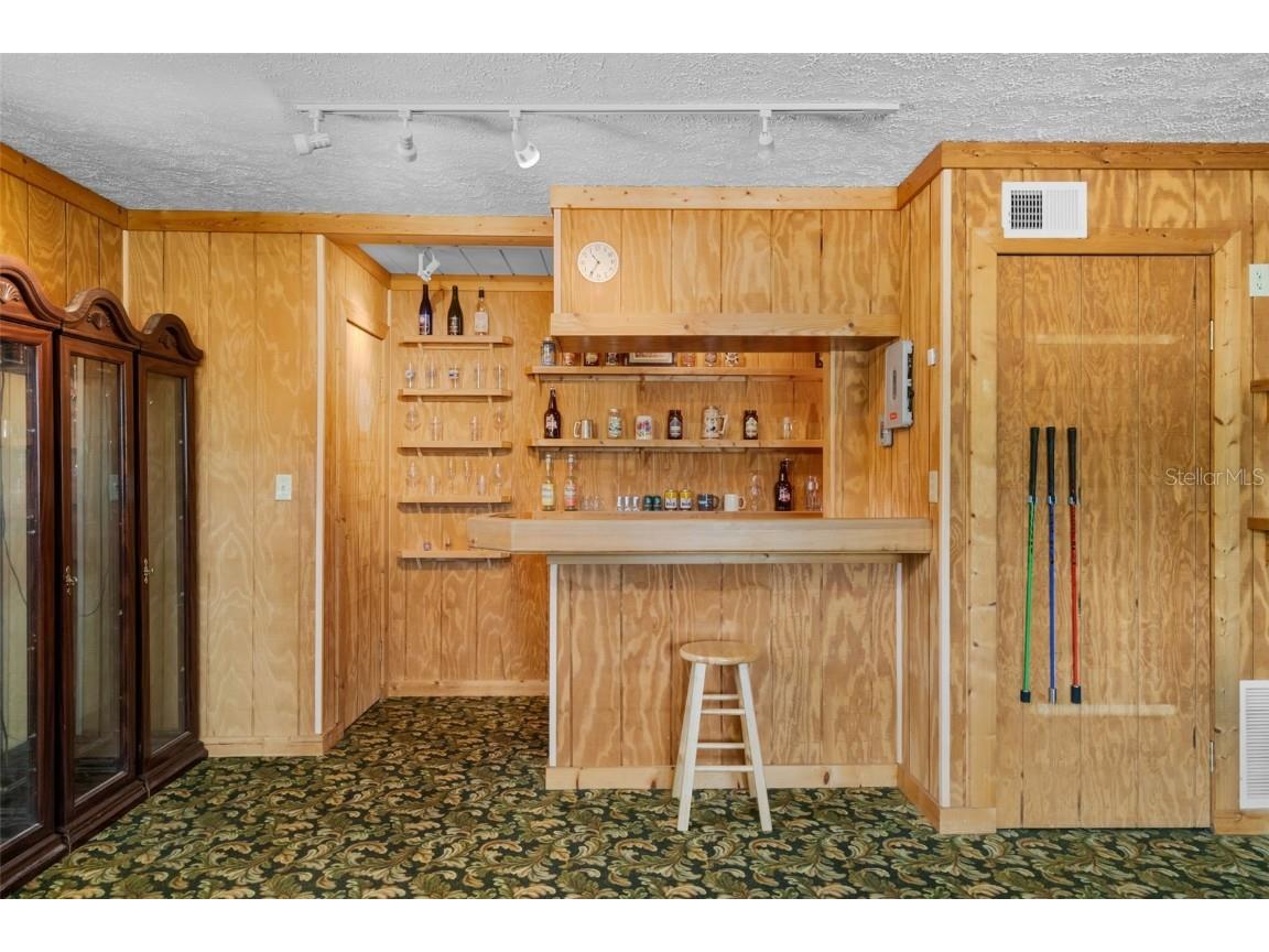 2921 Lake Tohopekaliga Boulevard Kissimmee FL 34746 - LAKE TOHOPEKALIGA O6320730 image66