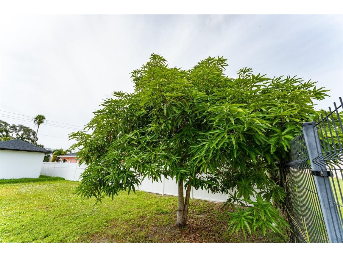 2921 W La Salle Street Tampa FL 33607 TB8431024 image49