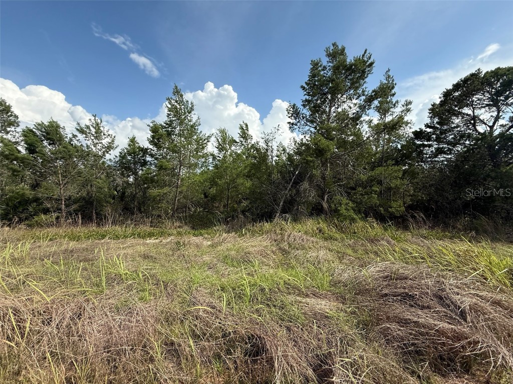 2921 W Seville Drive Avon Park FL 33825 OK225205 image1