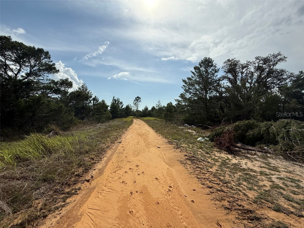 2921 W Seville Drive Avon Park FL 33825 OK225205 image2