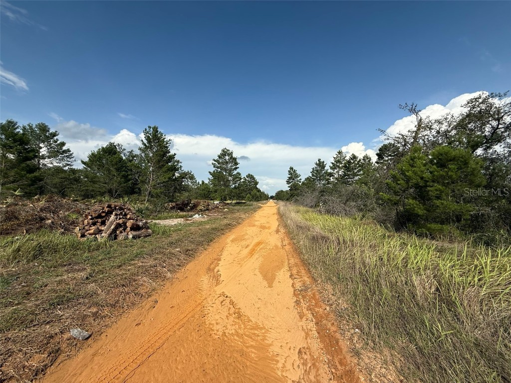 2921 W Seville Drive Avon Park FL 33825 OK225205 image3