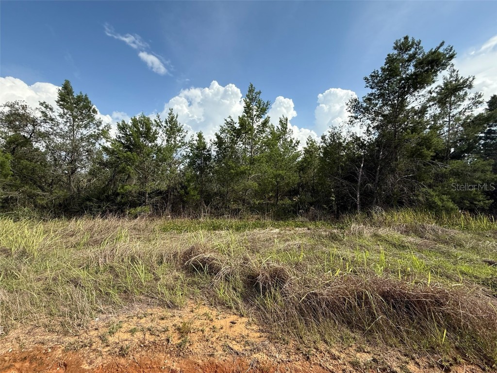 2921 W Seville Drive Avon Park FL 33825 OK225205 image4