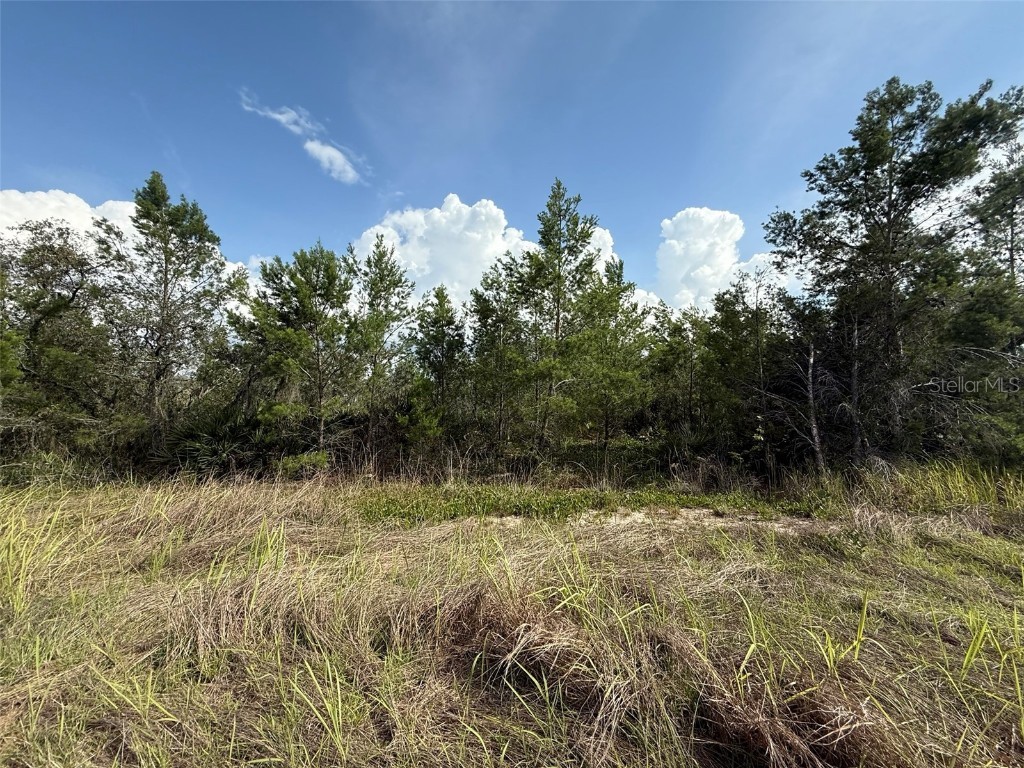 2921 W Seville Drive Avon Park FL 33825 OK225205 image5