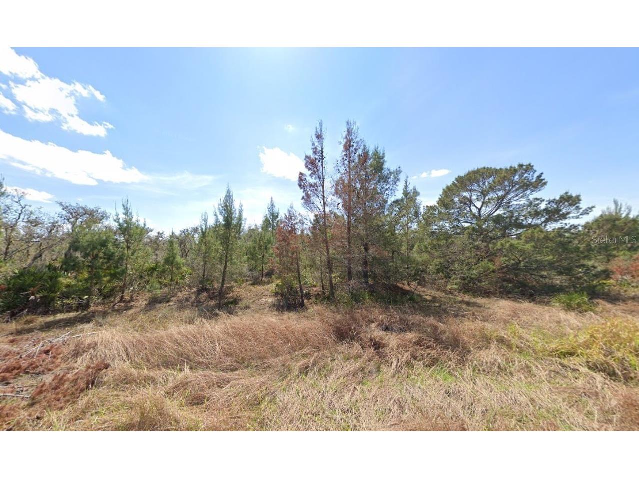 2921 W Seville Drive Avon Park FL 33825 OK225205 image6