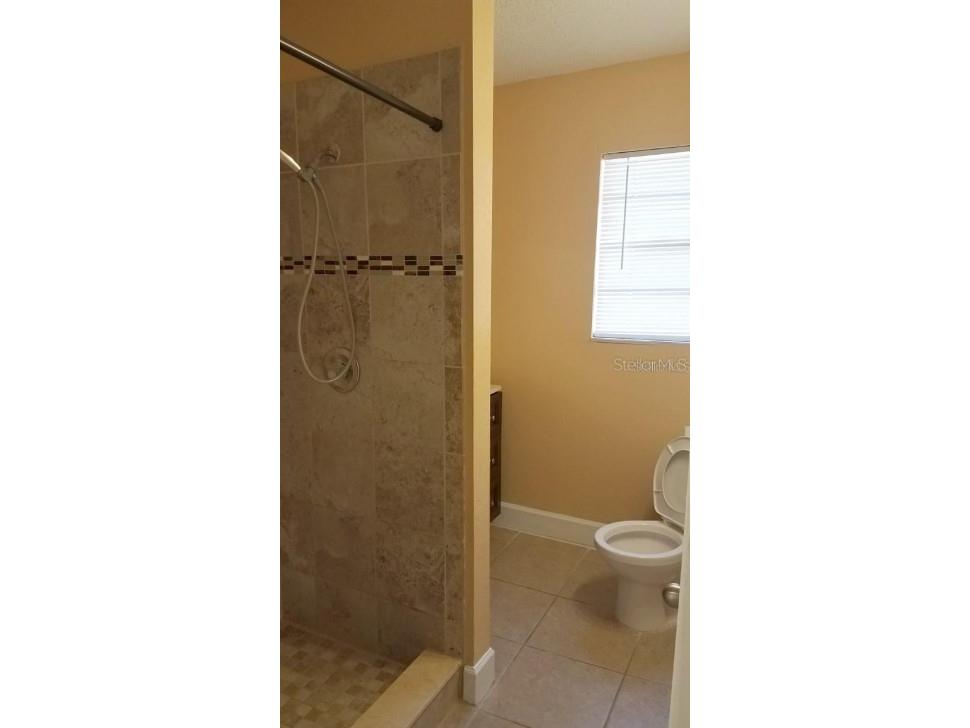 2921 W Walnut Street Tampa FL 33607 TB8474022 image10