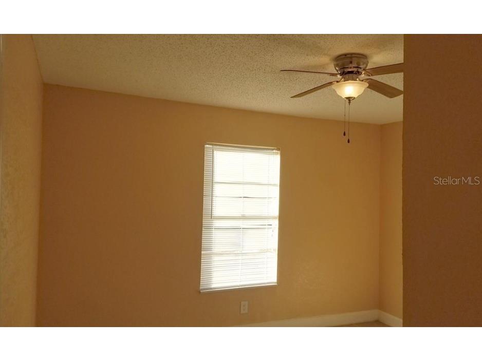 2921 W Walnut Street Tampa FL 33607 TB8474022 image6