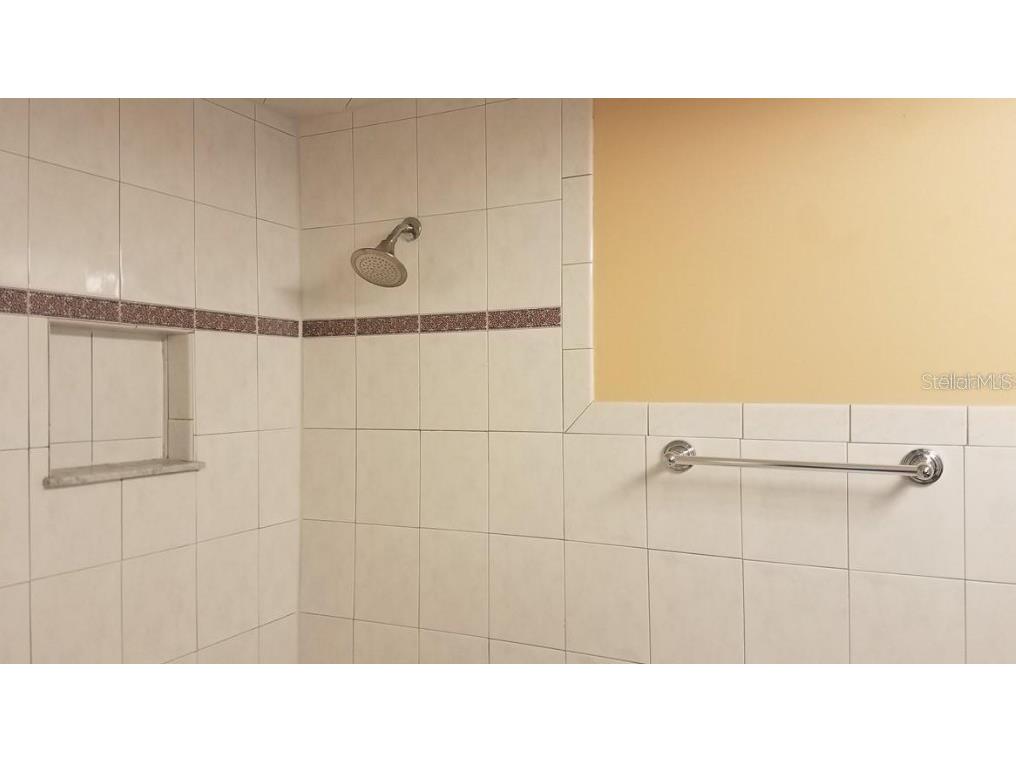 2921 W Walnut Street Tampa FL 33607 TB8474022 image9