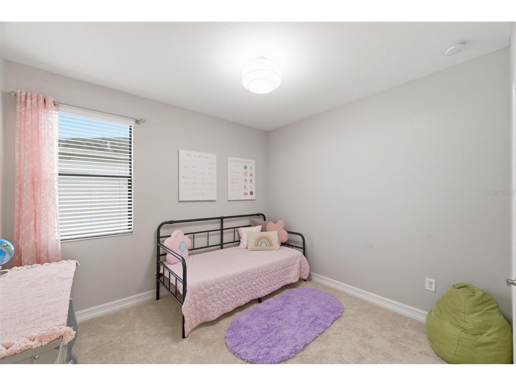 29211 Perilli Place Wesley Chapel FL 33543 TB8483342 image30