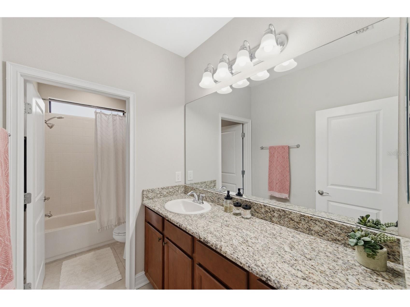 29211 Perilli Place Wesley Chapel FL 33543 TB8483342 image34