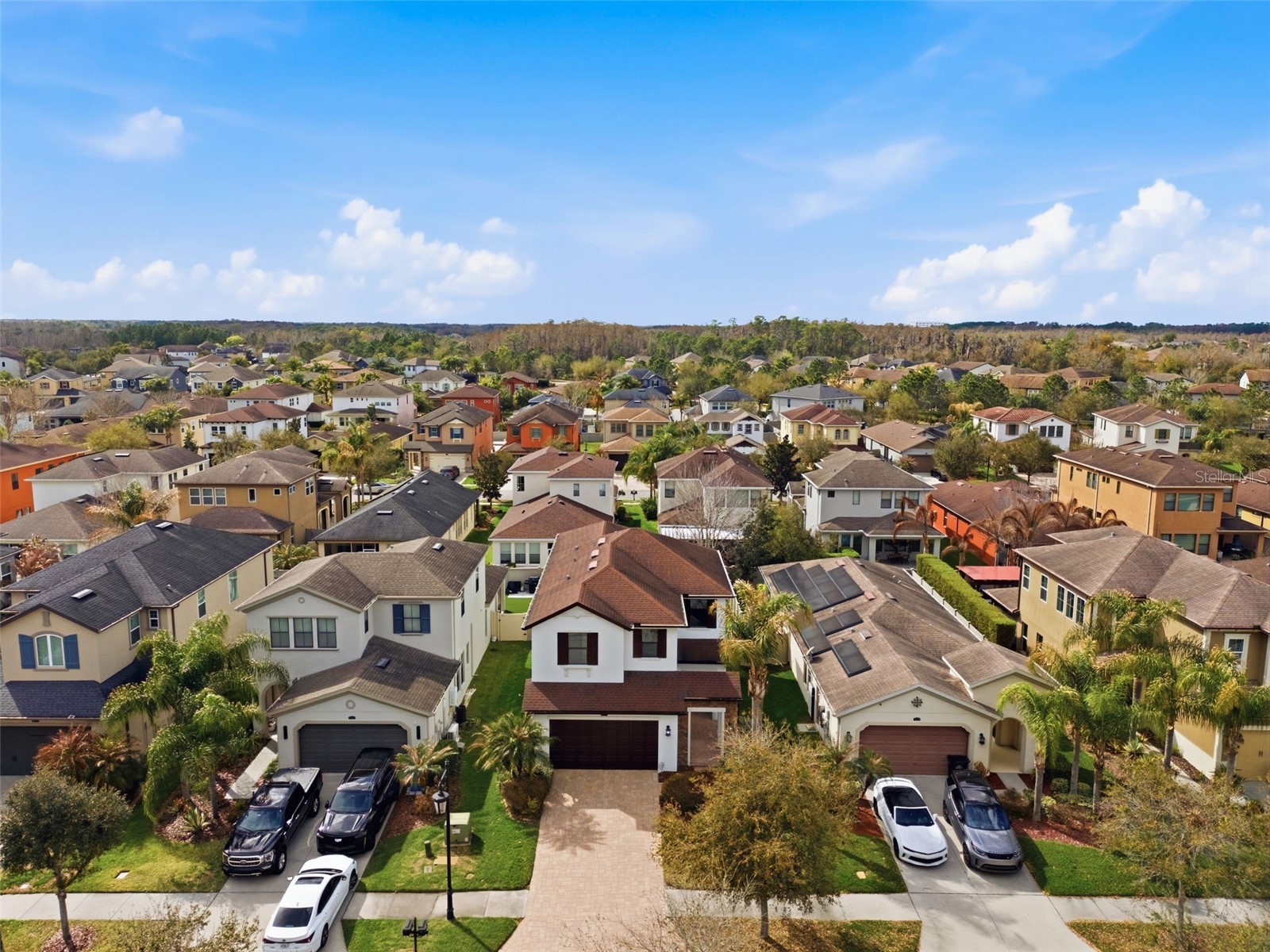 29211 Perilli Place Wesley Chapel FL 33543 TB8483342 image49