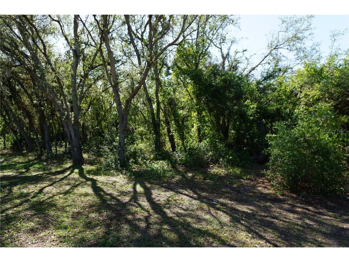 29211 Picador Street Punta Gorda FL 33982 C7508790 image68