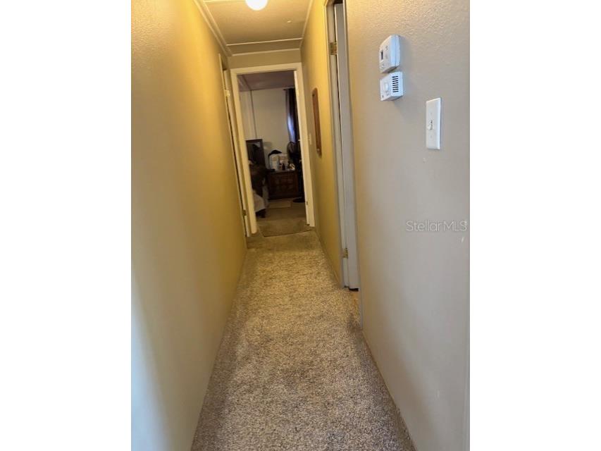 29218 Heckleman Street Brooksville FL 34602 TB8404632 image19