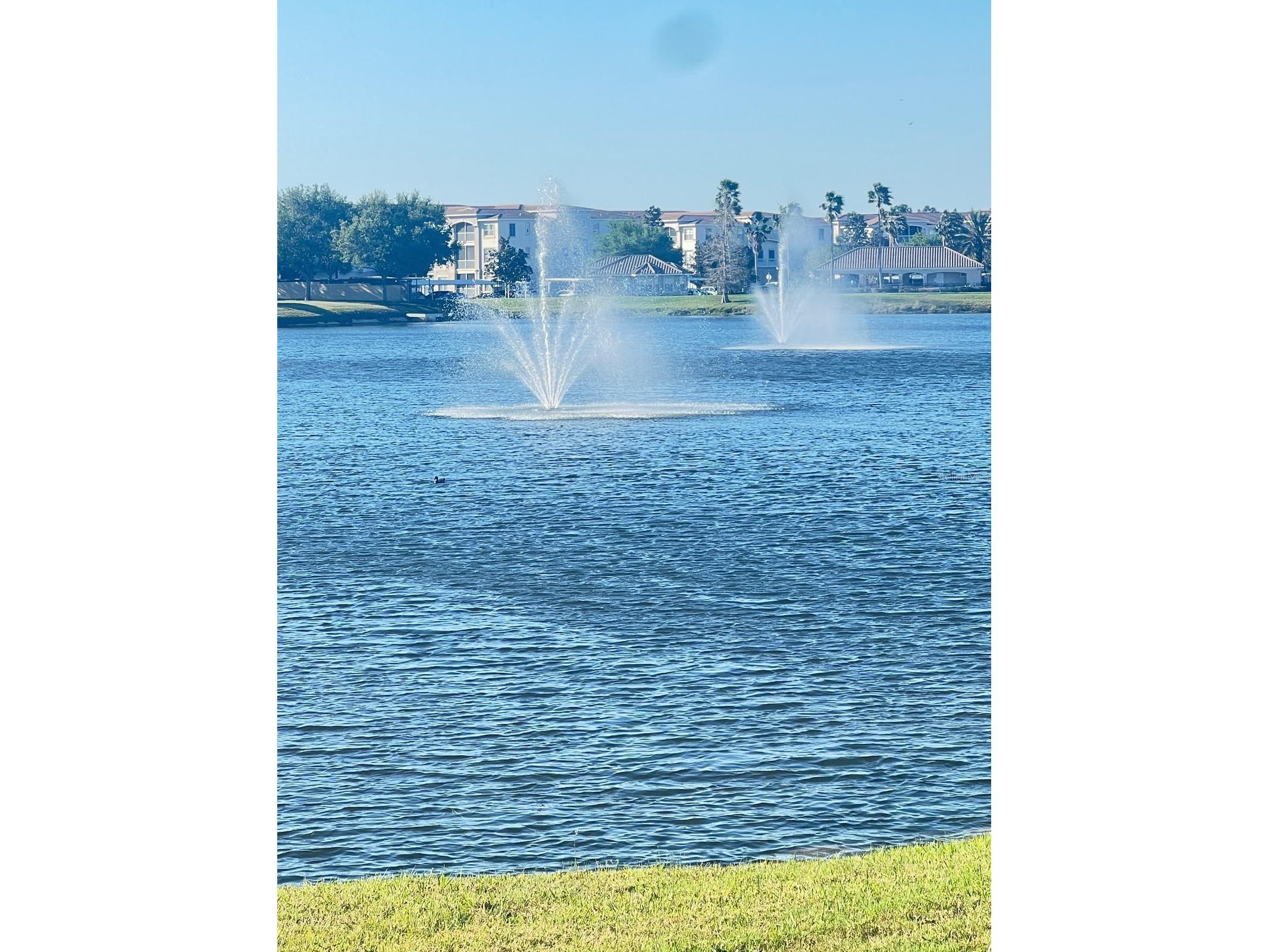 2922 Ashland Lane S Kissimmee FL 34741 O6389116 image17