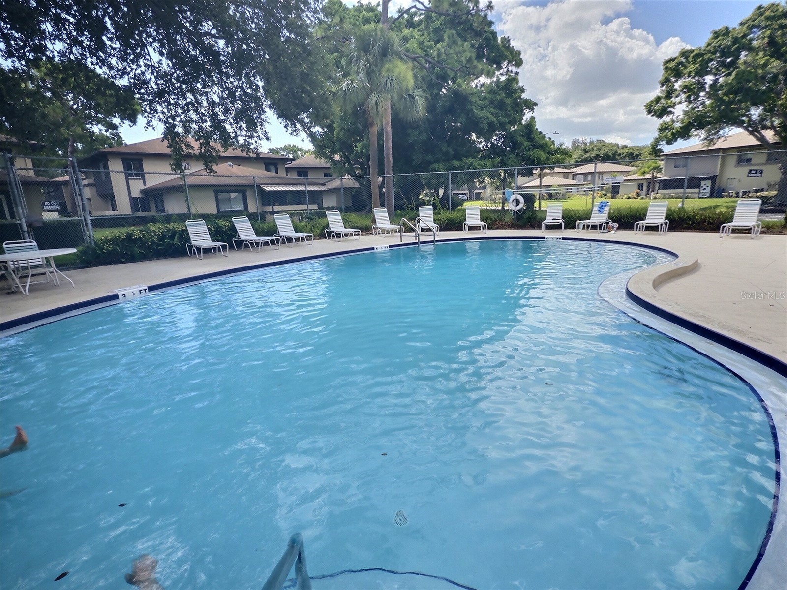 2922 Lichen Lane #A Clearwater FL 33760 TB8521639 image13