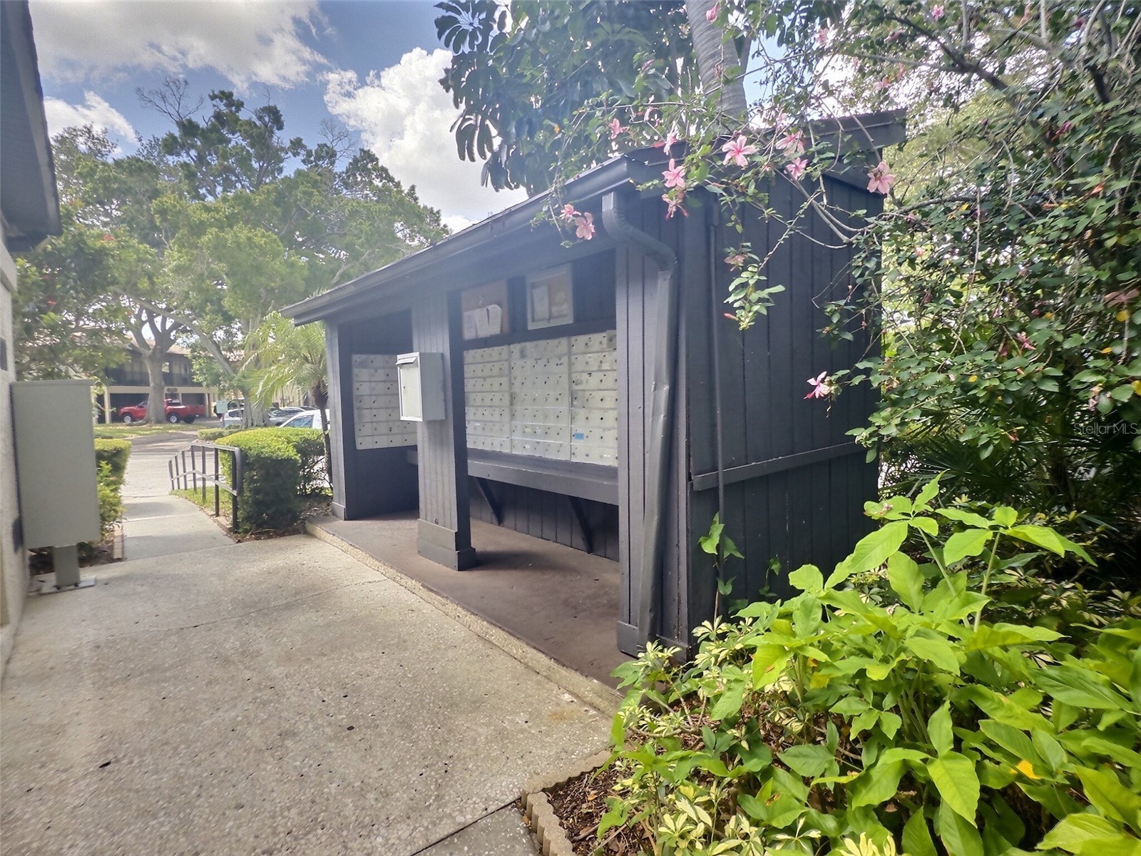 2922 Lichen Lane #A Clearwater FL 33760 TB8521639 image15