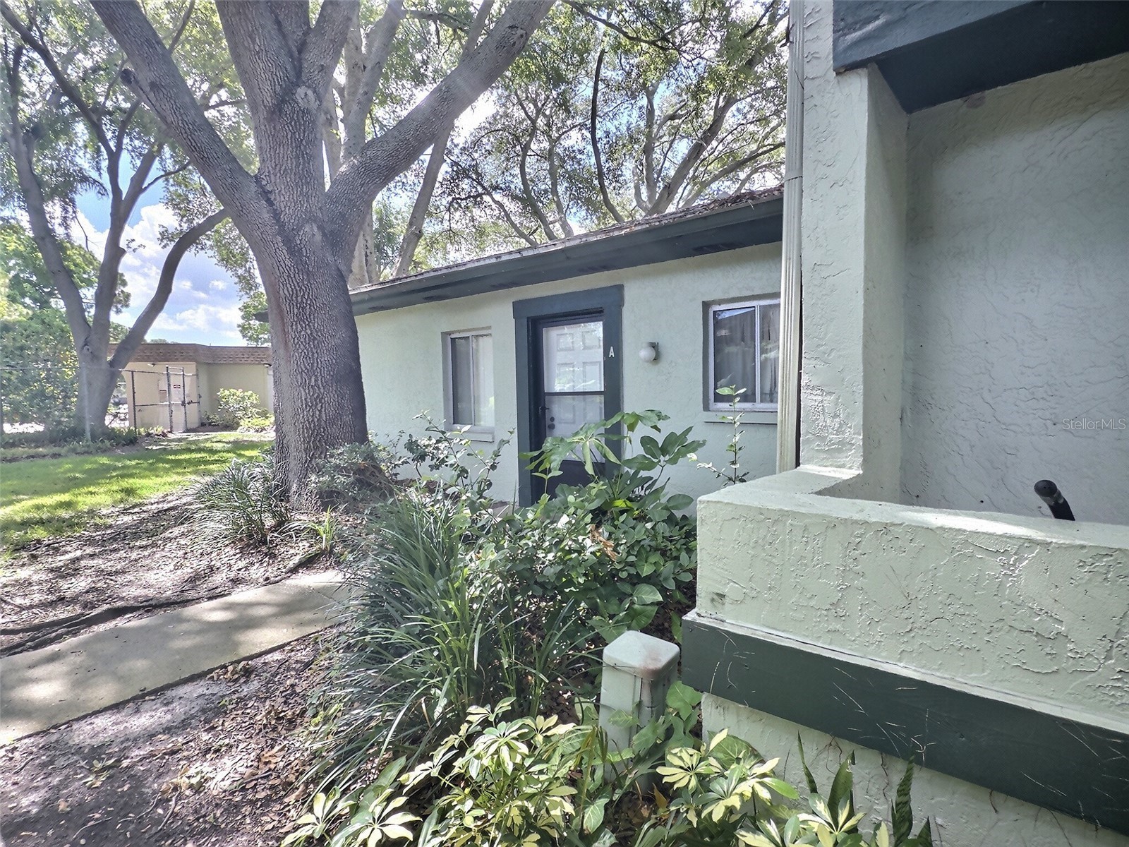 2922 Lichen Lane #A Clearwater FL 33760 TB8521639 image20