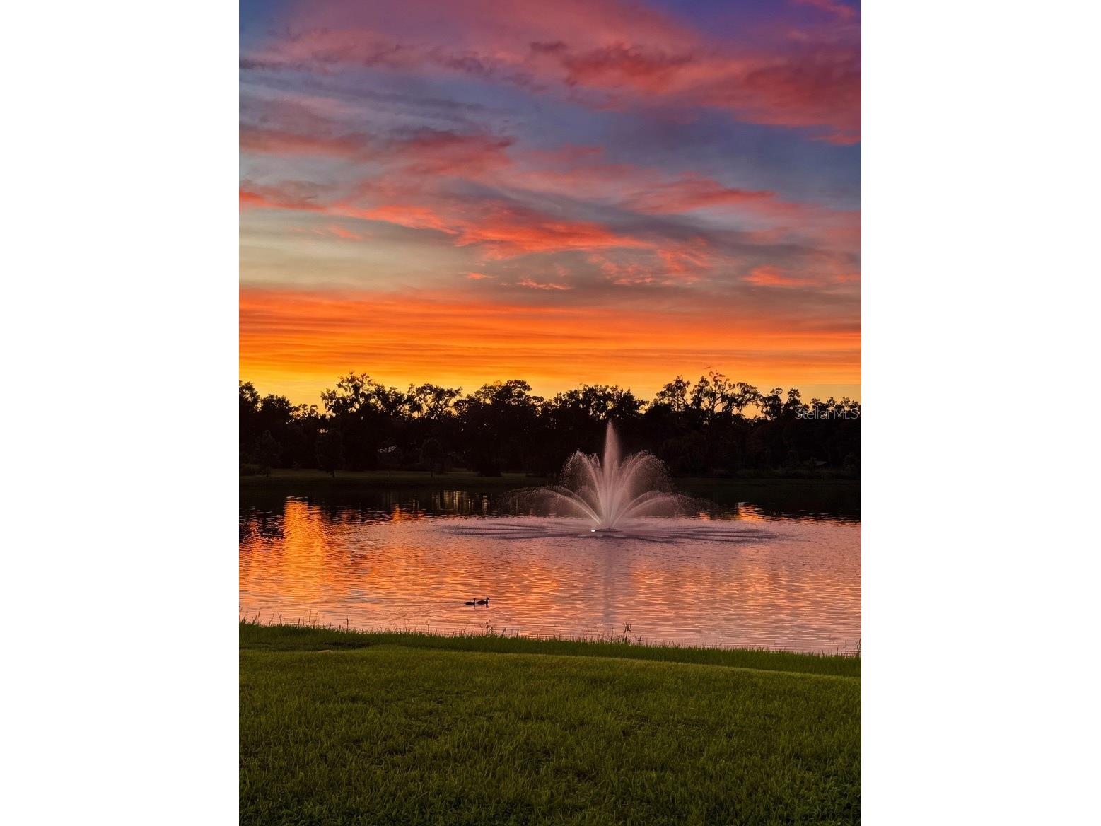 2922 Rock Sound Street Bradenton FL 34208 A4694598 image2