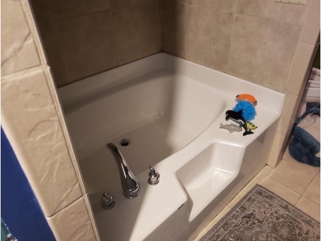 2922 Rustwood Lane Eustis FL 32726 TB8437456 image15