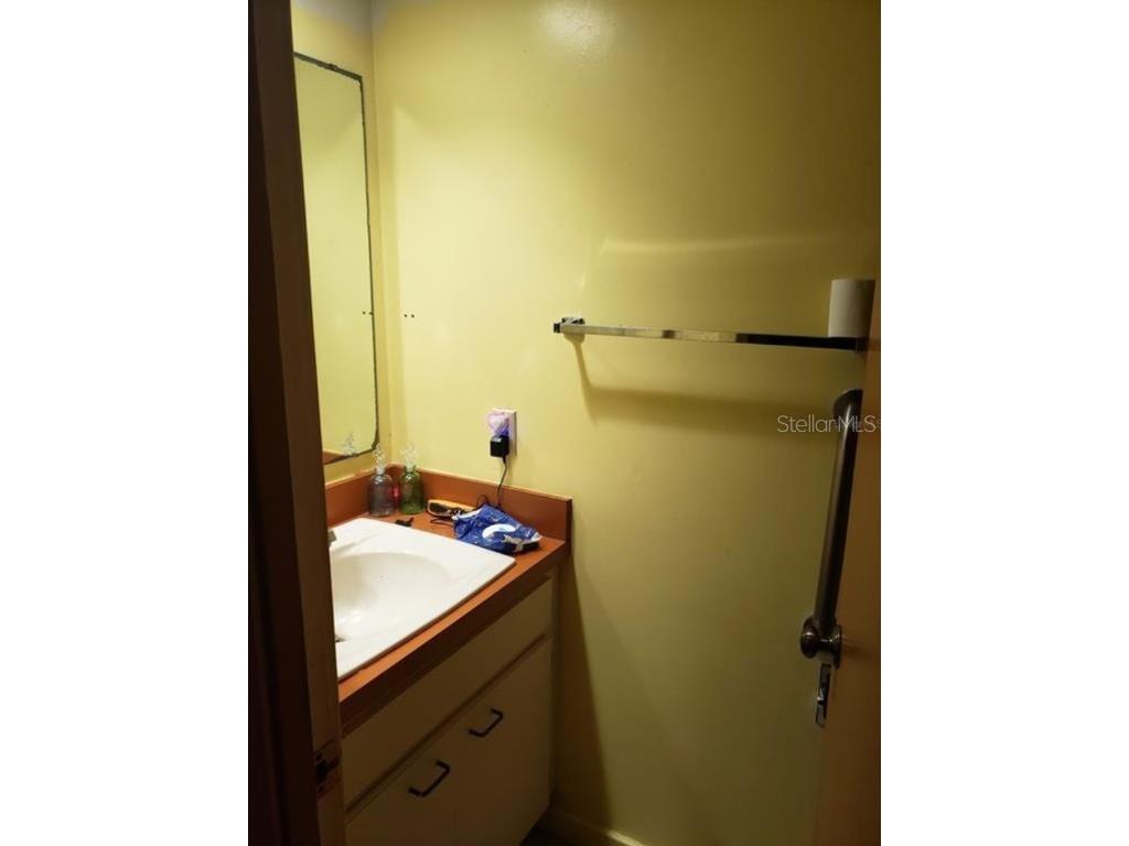 2922 Rustwood Lane Eustis FL 32726 TB8437456 image17