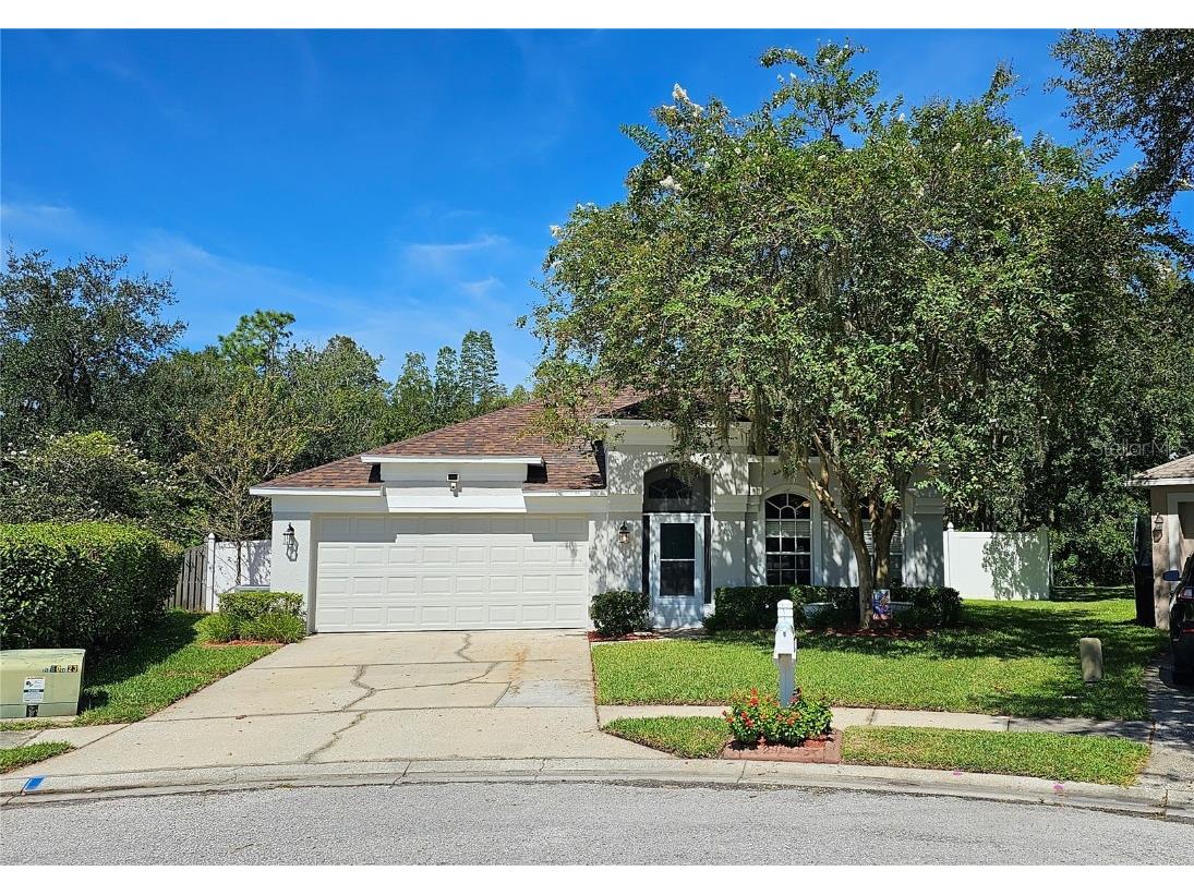 29221 Birds Eye Drive Wesley Chapel FL 33543 T3470133 image1